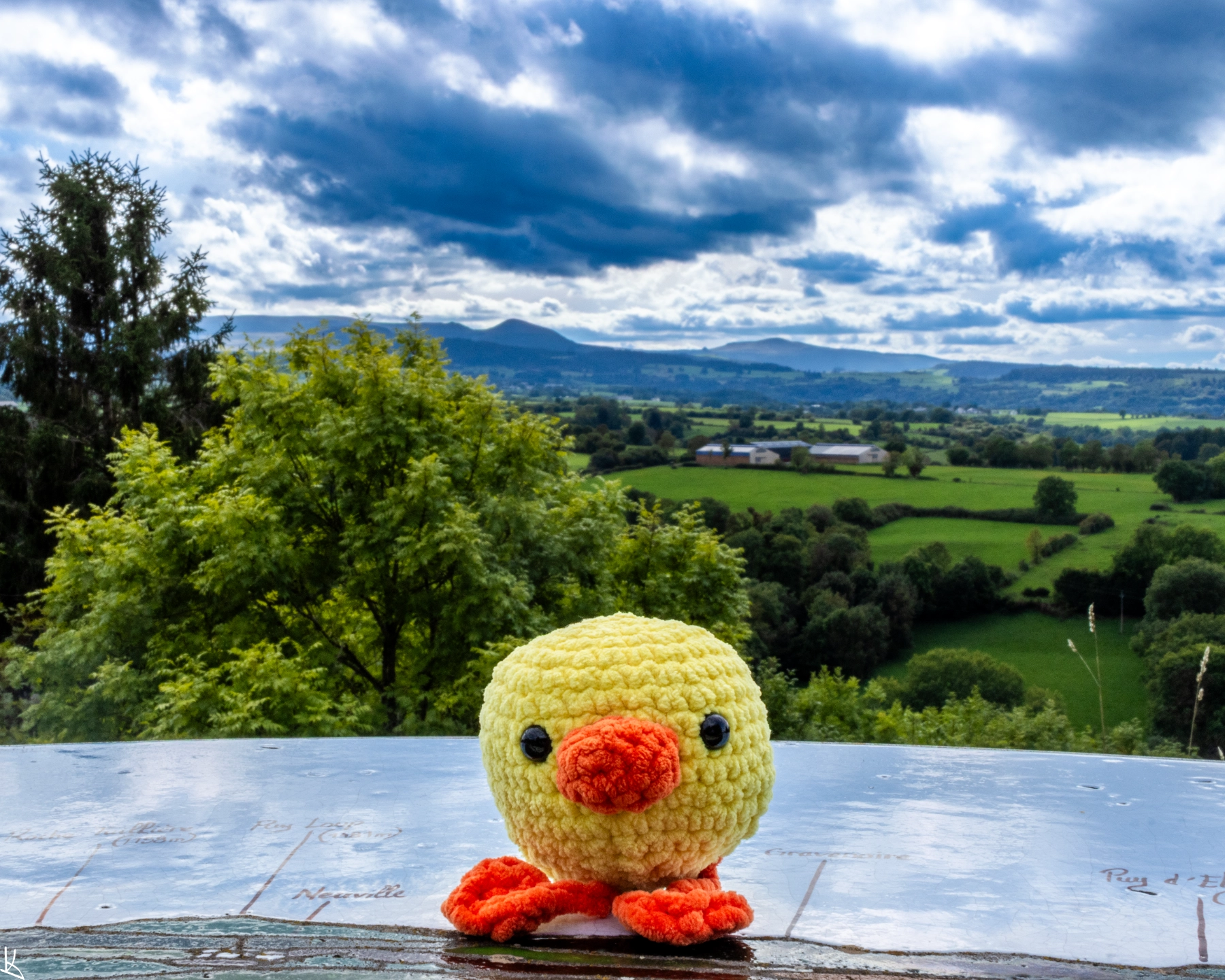 Recoleine - Any sur la table d'orientation