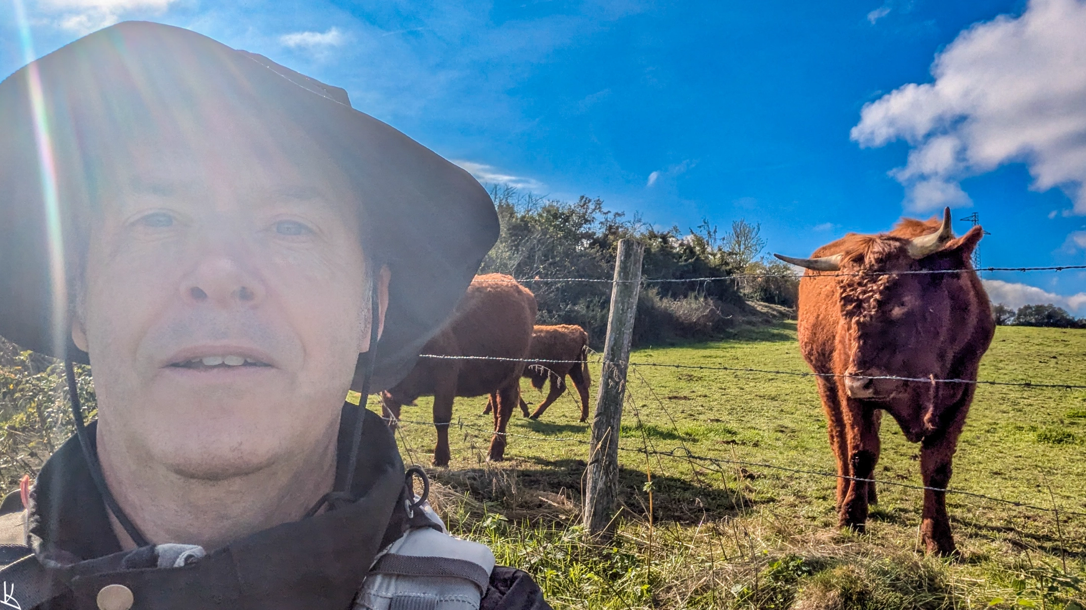 Selfie avec une Salers près de Cournols