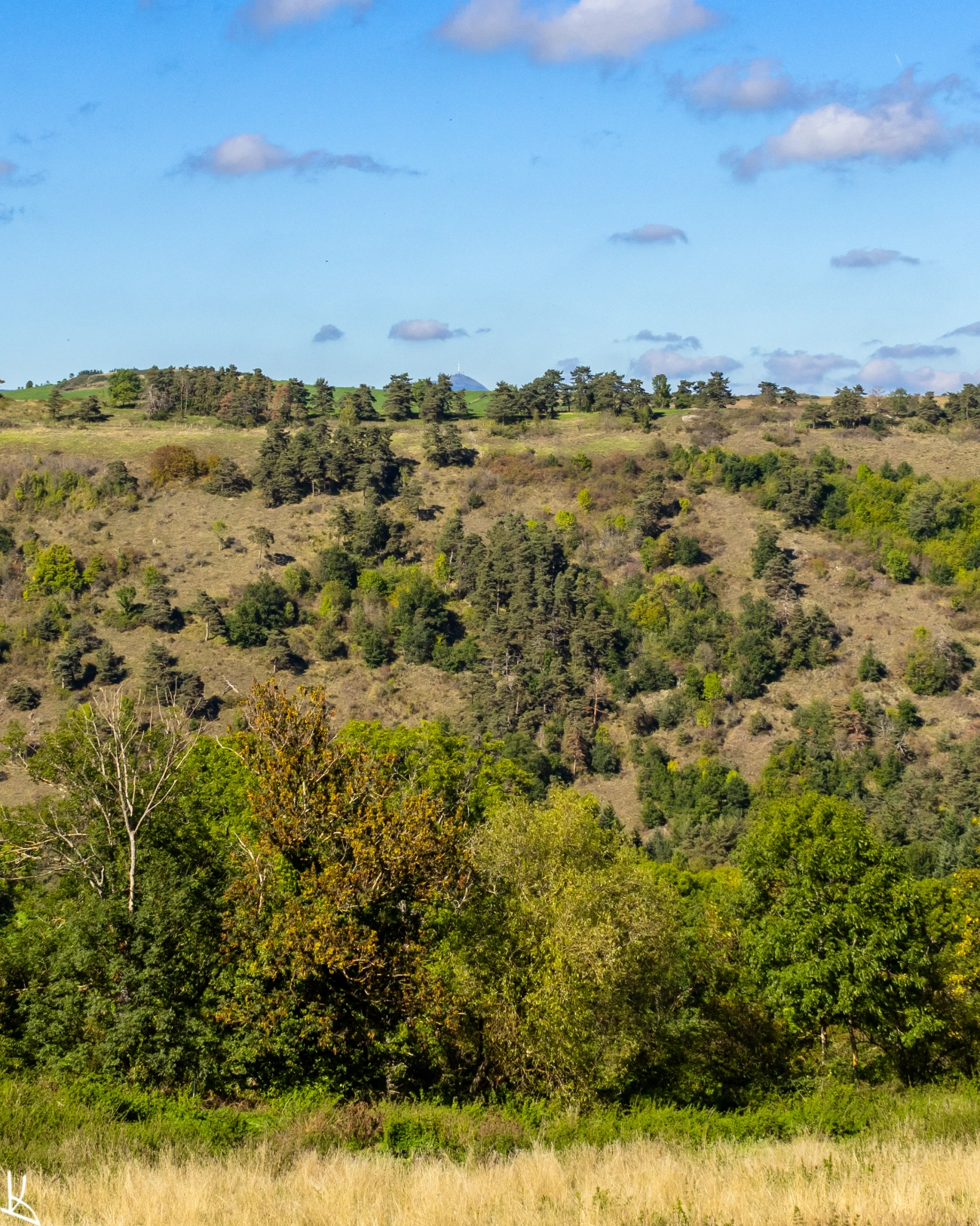 Sauvagnat et le Puy de Dôme